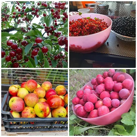 Gæstehus Apple Paradise, House Of Mirrors, Self Check-in, Free Parking Riga